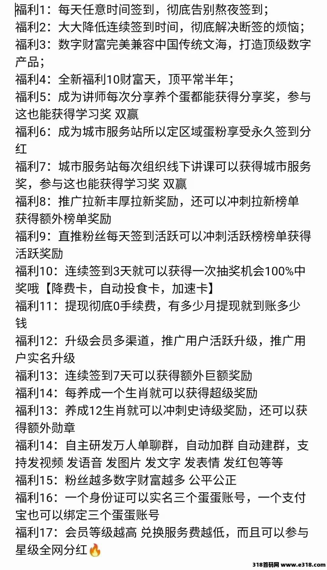 首码养个蛋