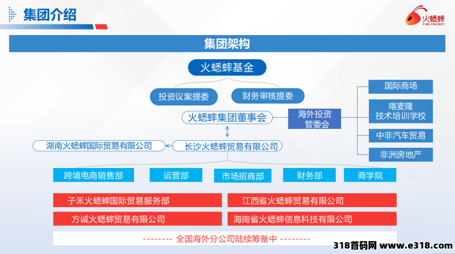 火蟋蟀扶持高（购商品赠任务包，卷轴电商）预热扶持（本团已驻扎集团）