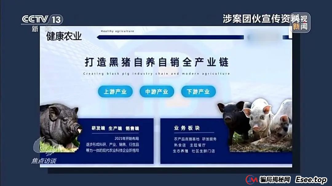 万元认养一头猪,200天就能赚6000元?起底“云养殖”里的骗局