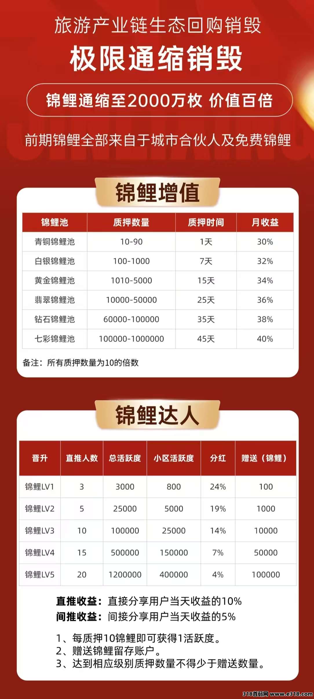 首码锦鲤行，0撸实体公司项目