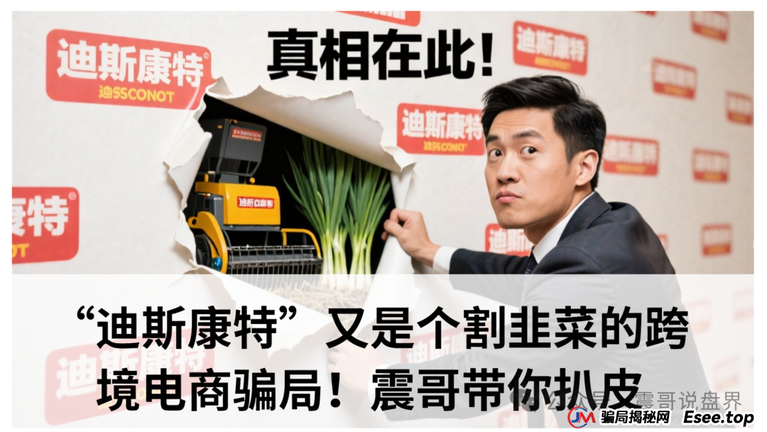 “迪斯康特”链商圈:又是个割韭菜的跨境电商骗局!震哥带你扒皮